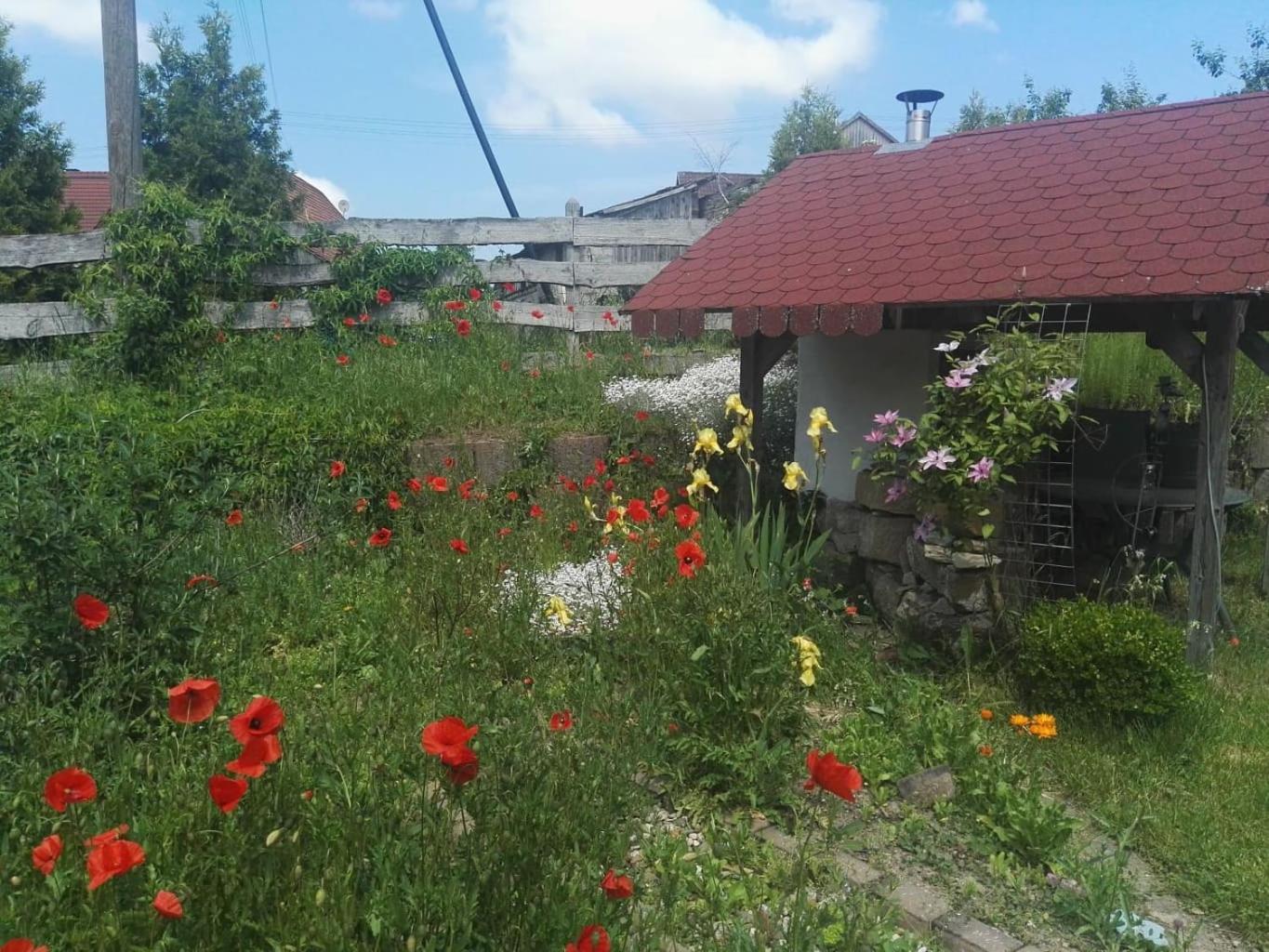 Gaestehaus Zum Gesundheitszentrum Matz Sulzdorf an der Lederhecke Esterno foto