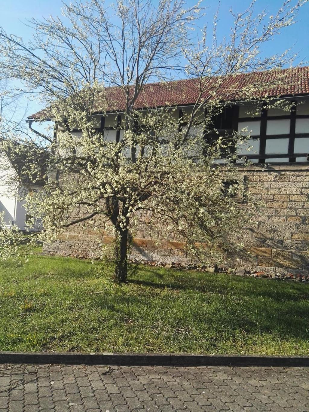 Gaestehaus Zum Gesundheitszentrum Matz Sulzdorf an der Lederhecke Esterno foto